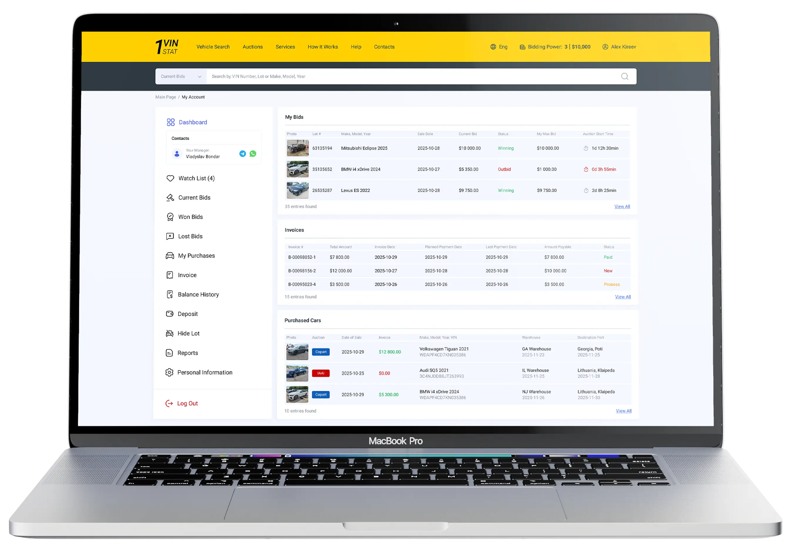 Stat.VIN dashboard preview